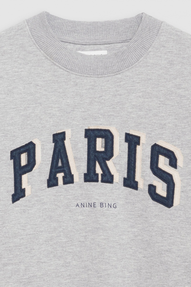 Sweat Anine Bing Tyler Paris Grise Femme | AVV-1189377